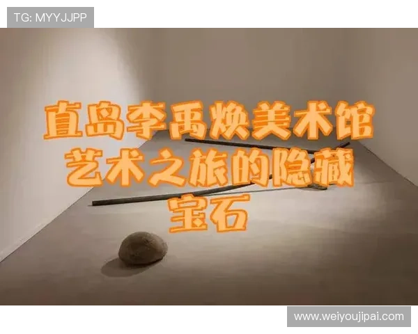 张芳的飞盘人生：从热爱到梦想的深度对话与成长之路